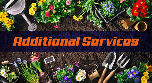 Additional Services