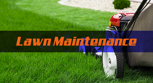 Lawn Maintenance