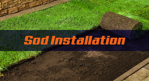 Sod Installation